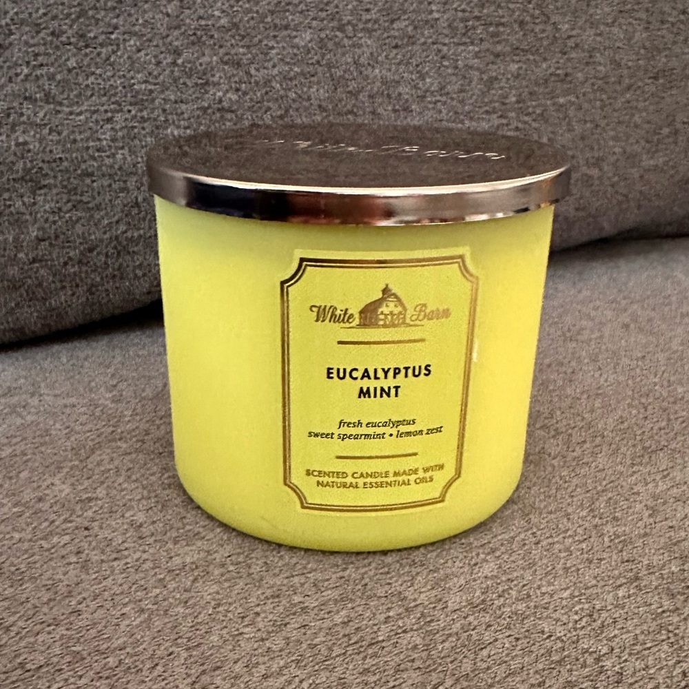 COPY - $$$ New never used Bath and Body Works Eucalyptus Mint candle.